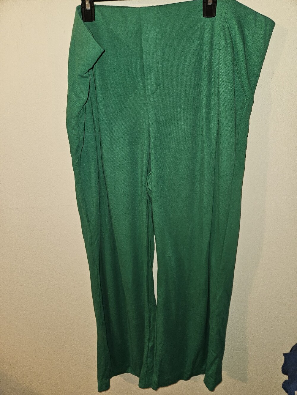Isaac Mizrahi Live Womans Green Wide Leg Pants Size 3xl